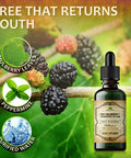 Herbalicious Liquid Chlorophyll Drops - Organic Sodium Copper Chlorophyllin Extract - Cleanse Support Immunity & Energy Boost Natural Deodorant & Detox Vegan Non-GMO Dietary Mint Flavor Green Tincture 2 fl Oz