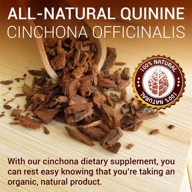 SIRUNES Quinine Tincture Extract Quinine Dried Bark Herbal Supplement Quinine Immune System Support Cinchona Bark Liquid Drops Alcohol And Gluten Free
