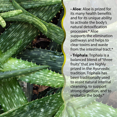 Irwin Naturals Aloe And Triphala Active-Cleanse And Probiotics By 2-Part Colon Care Formula Detox 60 Liquid Soft-Gels
