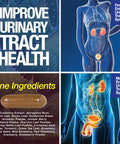 Saint Mingiano Kidney Support Cleanse Detox & Repair 120 Caps - Together With - 7 Day Cleanse Program Colon Detox