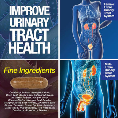 Saint Mingiano Kidney Support Cleanse Detox & Repair 120 Caps - Together With - 7 Day Cleanse Program Colon Detox