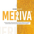 Meriva Curcumin 500 Clinically Proven 29x Better Absorption Prebiotics Probiotics for Women