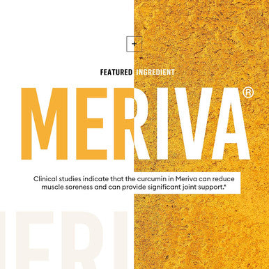 Meriva Curcumin 500 Clinically Proven 29x Better Absorption Prebiotics Probiotics for Women