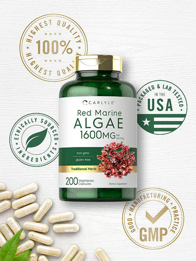Red Marine Algae 1600mg | 200 Capsules | Vegetarian Supplement | Non-GMO, Gluten Free | by Carlyle