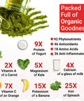 Organic Moringa Capsules Organic Moringa Oleifera Capsules Natural Herbal Supplement from Moringa Leaves USDA Organic Vegan Moringa Leaf Capsules Superplant 60 Moringa Pills
