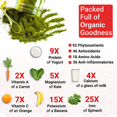 Organic Moringa Capsules Organic Moringa Oleifera Capsules Natural Herbal Supplement from Moringa Leaves USDA Organic Vegan Moringa Leaf Capsules Superplant 60 Moringa Pills