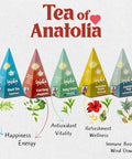 Lazi ka Lazika Tea Variety Pack Black Green and Herbal Tea Assortment Tea Sampler Set Assorted Tea Variety Pack with Pyramid Tea Bags Tea Set 10 Counts