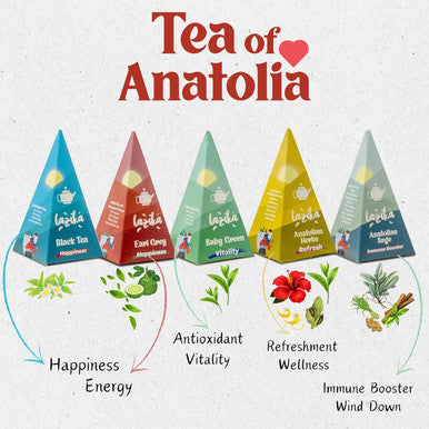 Lazi ka Lazika Tea Variety Pack Black Green and Herbal Tea Assortment Tea Sampler Set Assorted Tea Variety Pack with Pyramid Tea Bags Tea Set 10 Counts
