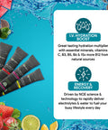 Karamd Pure I.V. - Electrolyte Powder Drink Mix 4 Flavor Bundle Delicious Hydrating Packets With Vitamins & Minerals 1 Lemon Lime - 1 Strawberry Bag - 1 Passion Fruit - 1 Watermelon (64 Sticks)