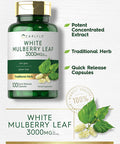 Carlyle Mulberry Leaf Extract | 3000Mg | 100 Capsules | Non-Gmo And Gluten Free Herbal Supplement