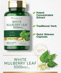 Carlyle Mulberry Leaf Extract | 3000Mg | 100 Capsules | Non-Gmo And Gluten Free Herbal Supplement