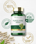 Carlyle Purslane Capsules 500Mg | 120 Count | 4:1 Extract Supplement | Portulaca Oleracea | Traditional Herb | Non-Gmo, Gluten