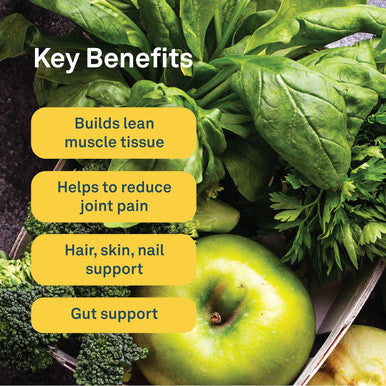 Organika Power Greens With Enhanced Collagen - A Daily Nutrient Rich Wellness Protein Powder, Pineapple Punch Flavor, Blend Of 16 Organic Fruits And Vegetables With 1 Billion Cfu Of Probiotics, 220G