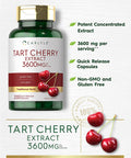 Carlyle Tart Cherry Extract Capsules | 200 Count | Non-Gmo And Gluten Free Formula | Traditional Herb Supplement