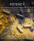 Gaia Herbs Black Elderberry - Daily Immune Support Supplement to Help Maintain Well-Being - with Black Elderberries and Acerola for Antioxidant Support - 60 Vegan Capsules (30-Day Supply)