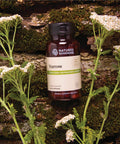 Nature'S Sunshine Yarrow, 100 Capsules, Kosher