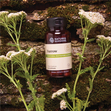 Nature'S Sunshine Yarrow, 100 Capsules, Kosher