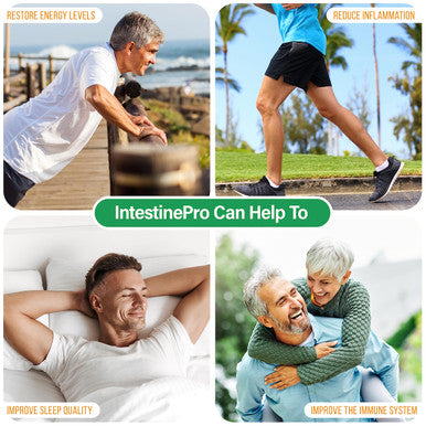 Intestinepro Intestine Support For Humans With Non-Gmo Wormwood, Black Walnut, Echinacea + 15 More Premium Ingredients, 60 Vegeta