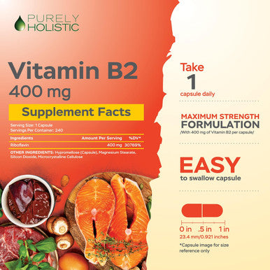 Purely Holistic Vitamin B2 Riboflavin 400Mg - 240 Vegan Capsules, 8 Month Supply - High Strength B2 Vitamins - Non Gmo & Gluten Free - Supports Energy Production & Cellular Health