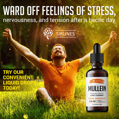 SIRUNES Mullein Leaf Extract 2Oz - Verbascum Thapsus Liquid Supplement - Herbal Tincture Promoting Lung, Respiratory & Digestive Wellness - Natural Sleep Support - Vegan 2 Fl Oz