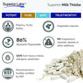Superior Labs Milk Thistle NonGMO 80 Silymarin Flavonoids Powerful Formula for Healthy Liver Kidney Detox and Function Energy 250mg 41 Extract Yielding 1000mg 120 Vegetable Caps