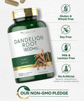 Carlyle Dandelion Root | 1800mg | 300 Capsules | Non-GMO Gluten Supplement