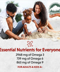 Barlean's Strawberry Banana Omega 3 Liquid Flaxseed Oil With 2 968 Mg Vegan Omegas 3 6 9 Smoothie Supplements For Kids and Adults From Cold Pressed Flax Seed Oil Non-Gmo and Gluten Free 16 Oz