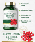 Carlyle Hawthorn Berry Capsules | 1695Mg | 250 Capsules | Vegetarian, Non-Gmo, Gluten Free Extract
