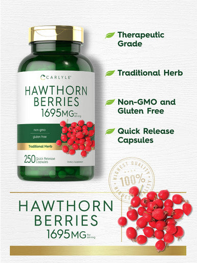 Carlyle Hawthorn Berry Capsules | 1695Mg | 250 Capsules | Vegetarian, Non-Gmo, Gluten Free Extract