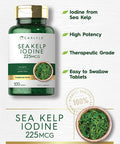 Sea Kelp Iodine | 225mcg | 500 Tablets | Non-GMO, Gluten Free | Traditional Herb Supplement | by Carlyle