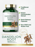 Carlyle Dandelion Root | 1800mg | 300 Capsules | Non-GMO Gluten Supplement