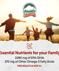 Barlean's Seriously Delicious Omega 3 Sorbet Lemon Creme From Fish Oil With 1080Mg Of Epa Dha All Natural Fruit Flavor Non Gmo Gluten Free 8 Ounce Bottle Fg 10043