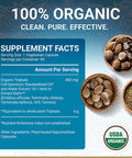 Triphala Capsules USDA Organic Vegan Triphala Tablets 100 Natural Herbal Triphala Guggulu Supplement Natural Fusion Extract Potency Ayurveda 60 Caps Trifala Churna