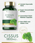 Carlyle Cissus Quadrangularis 1800mg | 200 Capsules | Traditional Herb Extract Supplement | Non-GMO and Gluten Formula