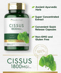 Carlyle Cissus Quadrangularis 1800Mg | 200 Capsules | Traditional Herb Extract Supplement | Non-Gmo And Gluten Free Formula