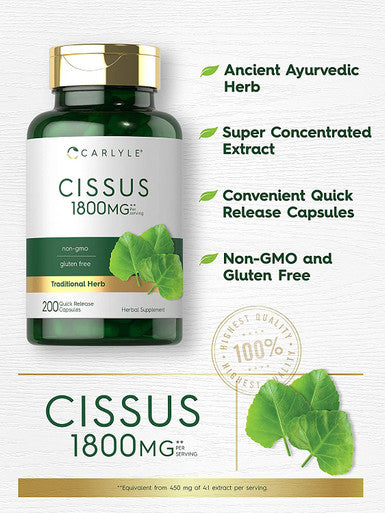 Carlyle Cissus Quadrangularis 1800Mg | 200 Capsules | Traditional Herb Extract Supplement | Non-Gmo And Gluten Free Formula