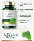 Carlyle Cissus Quadrangularis 1800Mg | 200 Capsules | Traditional Herb Extract Supplement | Non-Gmo And Gluten Free Formula