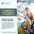 Purely Holistic Pine Bark Extract 350Mg 180 Vegan Capsules 95% Proanthocyanidins - French Maritime Pine Bark Extract - Non Gmo & Pesticide Free Antioxidant Supplement