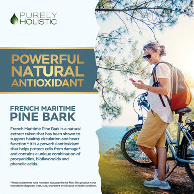 Purely Holistic Pine Bark Extract 350Mg 180 Vegan Capsules 95% Proanthocyanidins - French Maritime Pine Bark Extract - Non Gmo & Pesticide Free Antioxidant Supplement