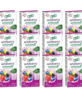 True Citrus TRUE LEMON Original Lemonade Drink Mix No Artificial Sweeteners Low Calorie Water Flavor Packets & Water Enhancer with Stevia 30 Count (Pack of 1)