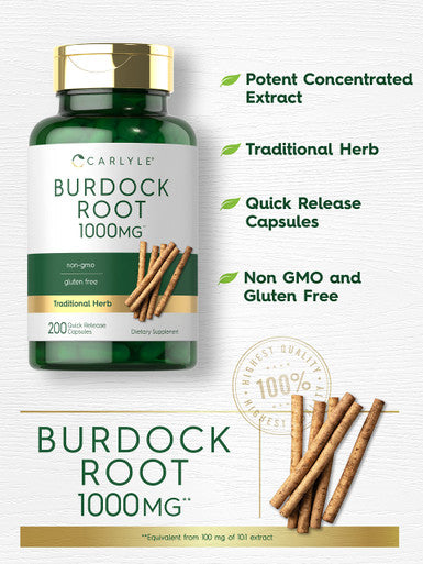 Carlyle Burdock Root | 1000 Mg | 200 Capsules | Non-Gmo And Gluten Free Formula | Traditional Herb Supplement | Arctium Lappa Ext