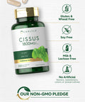 Carlyle Cissus Quadrangularis 1800Mg | 200 Capsules | Traditional Herb Extract Supplement | Non-Gmo And Gluten Free Formula