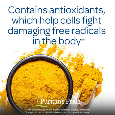 Puritan's Pride Turmeric Curcumin 500 Mg Contains Antioxidants 180 Count (Pack of 2) Total 360 Count