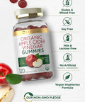 Carlyle Organic Apple Cider Vinegar Gummies | 120 Count | USDA Organic | Vegan Non-GMO & Gluten- ACV Gummies | Apple Flavor