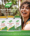 NatureS Way Pantothenic Acid Supports Cellular Energy 500Mg Per Serving 100 Capsules