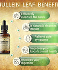 HERBALICIOUS Mullein Leaf Extract - Verbascum Thapsus Liquid Supplement - Herbal Tincture Promoting & Detox Lungs, Respiratory & Digestive Wellness - Lung Cleanse - Vegan Drops, Non-Gmo - 4 Fl. Oz