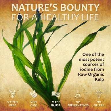 HERBALICIOUS Natural Iodine Extract - Sea Kelp - Drops For Thyroid Function Support, Digestion, Energy Boost - Liquid Dietary Supplement - Vegetarian-Friendly Formula - 4Oz Bottle