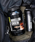 Nutrabio Micellar Casein Protein Powder 2 lbs Dutch Chocolate