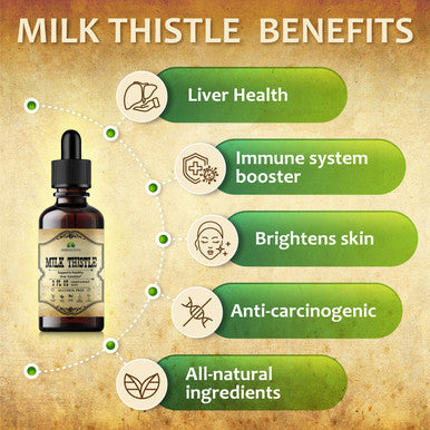 HERBALICIOUS Milk Thistle Extract - All-Natural Cleanse And Detox Supplement For Liver Support, Immune System Boost And Skin Health - Silymarin Nutritional Supplement - 2 Fl Oz