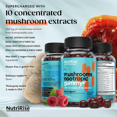 Ultra-Powerful Mushroom Gummies: 2,500 mg Concentrated Blend. Superior Nootropic & Mood Support, Immunity & Metabolism Booster. 10 Mushrooms Including Lions Mane, Turkey Tail, Reishi & More